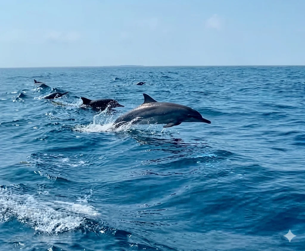 A pod of dolphins leaping through blue ocean waves under a clear sky.