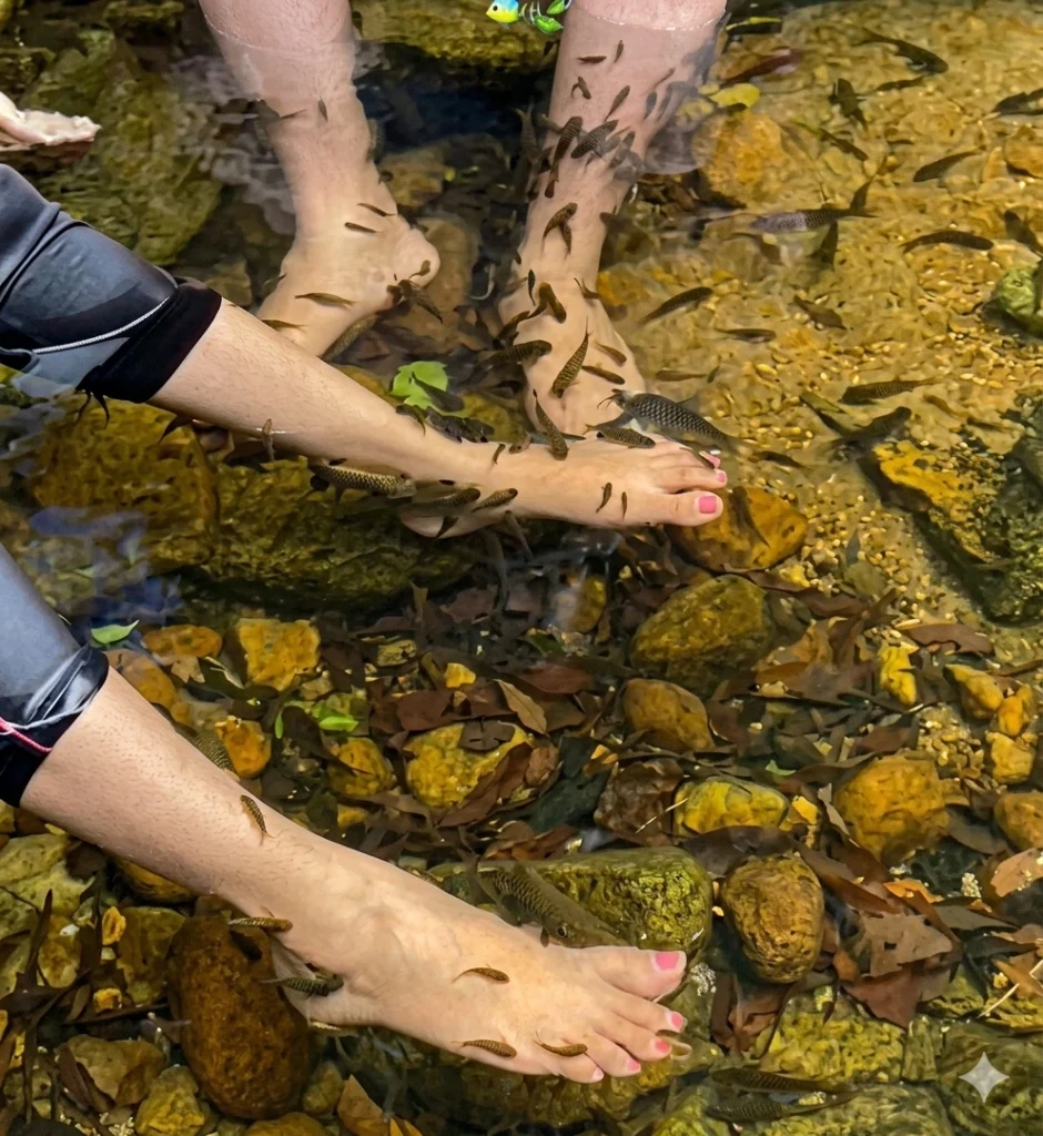 sinharaja fish therapy